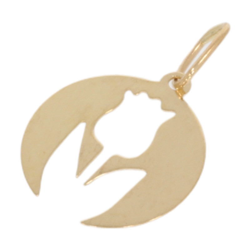 Pandantiv, Aur Galben, 14 k, 0.21 gr, Cod Produs: 659713 - 2