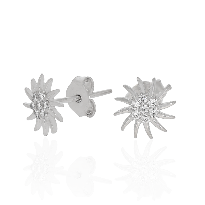 Cercei, Aur Alb, 14 k, 0.99 gr, Cod Produs: 669727 - Tezaurshop.ro