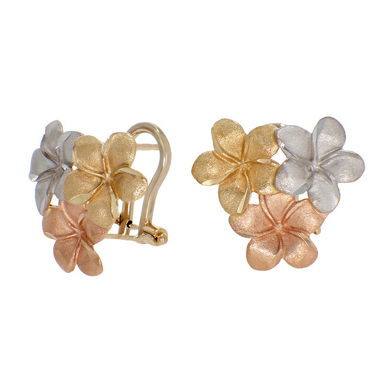 Cercei, Aur Mixt, 14 k, 3.9 gr, Cod Produs: 853192 - Tezaurshop.ro