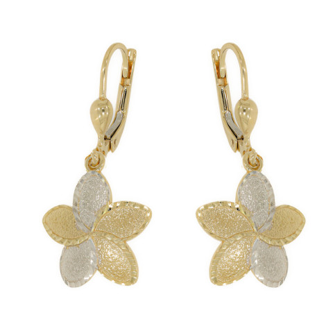 Cercei, Aur Mixt, 14 k, 2.71 gr, Cod Produs: 709504 - 1