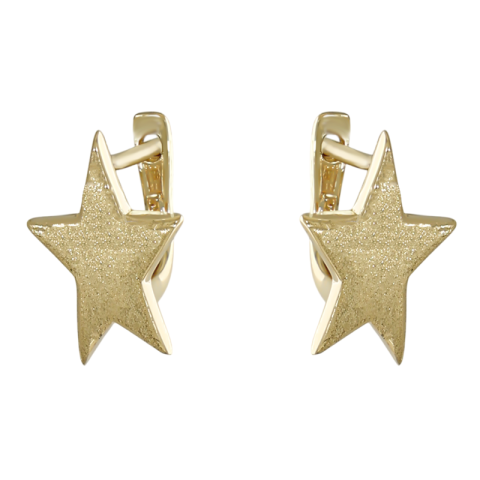 Cercei, Aur Galben, 14 k, 2.28 gr, Cod Produs: 729478 - 1