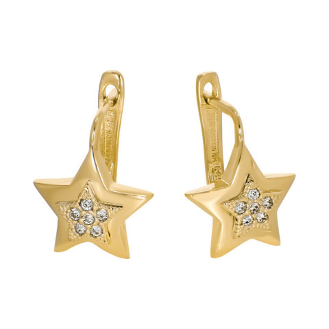 Cercei, Aur Galben, 14 k, 3.09 gr, Cod Produs: 754093 - 1
