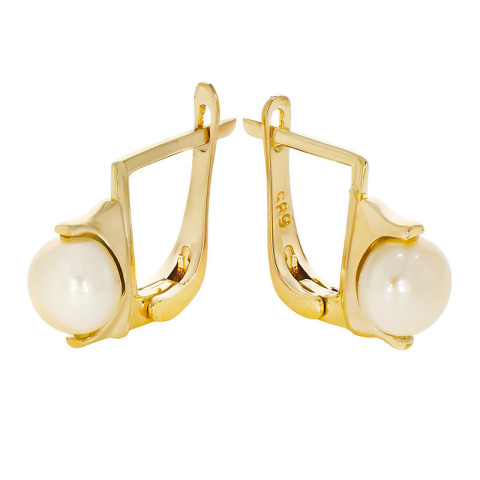 Cercei, Aur Galben, 14 k, 3.51 gr, Cod Produs: 757792 - 1