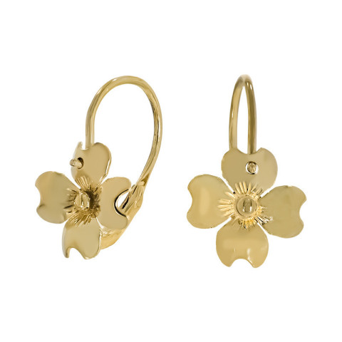 Cercei, Aur Galben, 14 k, 1.62 gr, Cod Produs: 764043 - 1