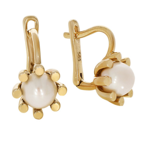 Cercei, Aur Galben, 14 k, 3.96 gr, Cod Produs: 768461 - 1