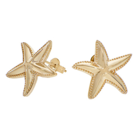 Cercei, Aur Galben, 14 k, 3.12 gr, Cod Produs: 832941 - 1