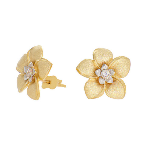 Cercei, Aur Galben, 14 k, 3.28 gr, Cod Produs: 859807 - 1