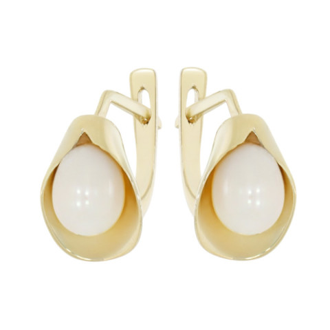 Cercei, Aur Galben, 14 k, 4.36 gr, Cod Produs: 871443 - 1